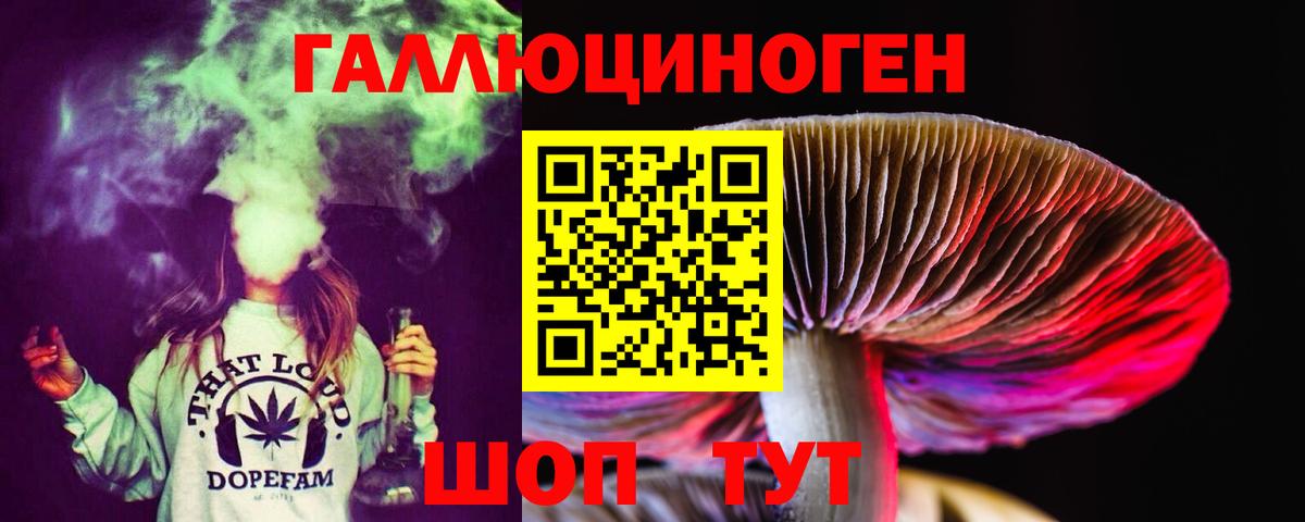 Псилоцибиновые грибы Cubensis Горячий Ключ
