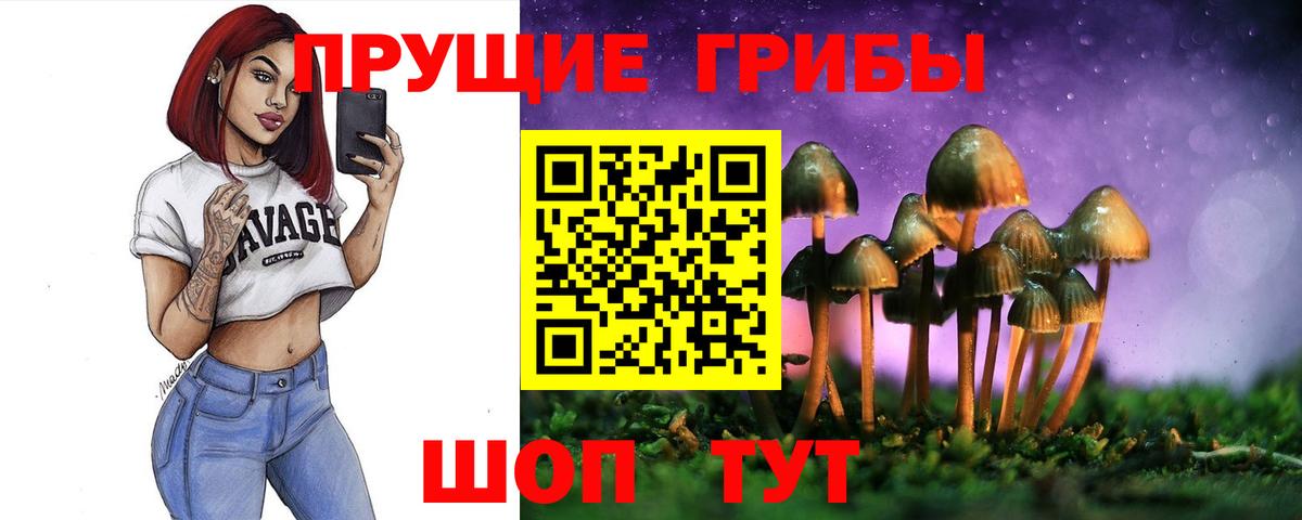 Галлюциногенные грибы мухоморы  Псилоцибиновые грибы ЛСД  Горячий Ключ  Вход с VPN 