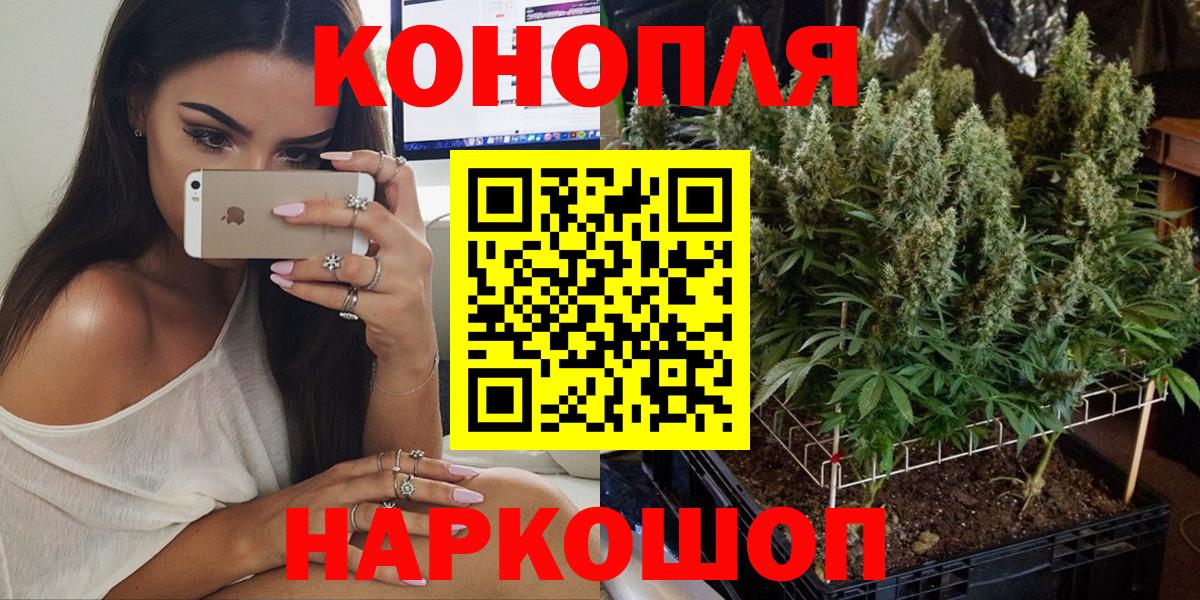 Бошки марихуана план  Каннабис гибрид  Вход с VPN  Горячий Ключ 